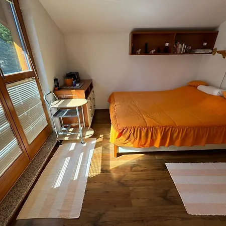 Tisina Sarajevo Willa *